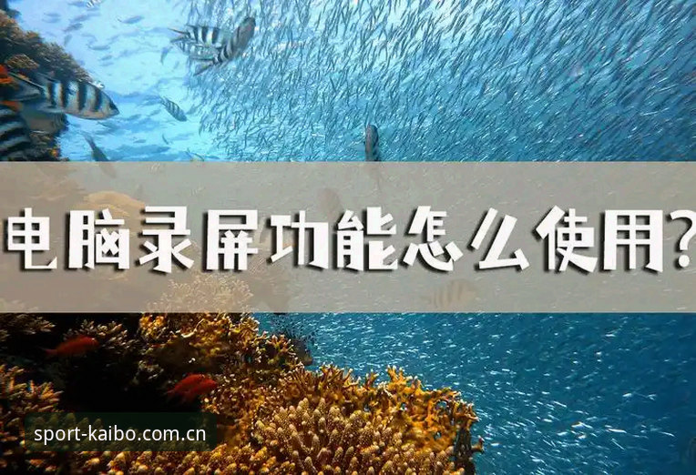 kaibo体育平台优势 kaibo体育平台功能解锁使用教程:从安装到对比分析的完整操作指南